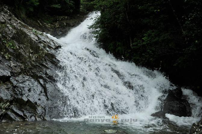 探寻天涯问答交流平台甄嬛传里的曹琴默在影射红楼梦里的谁?